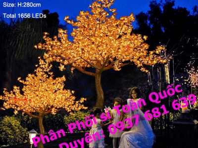 PHONG CÁCH MỚI CAPHE DU MIÊN