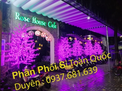 Cây Hoa Đèn Led Trang Trí Quán Cà Phe Rose House Bình Dương